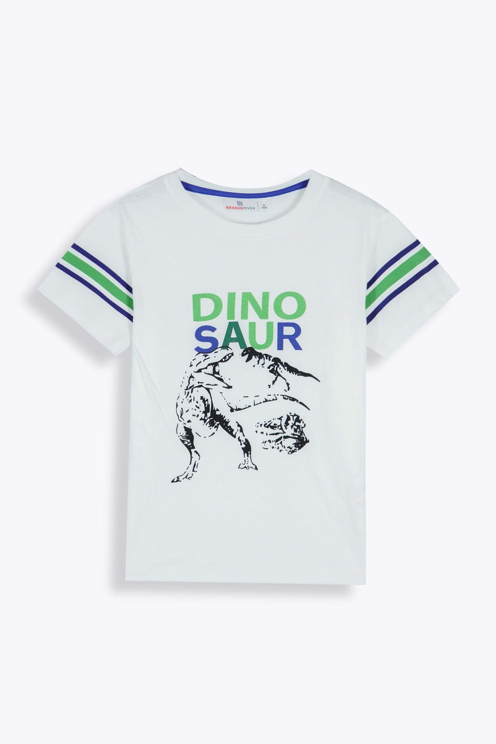 Premium Quality 'Dinosaur' Printed Boys summer suit