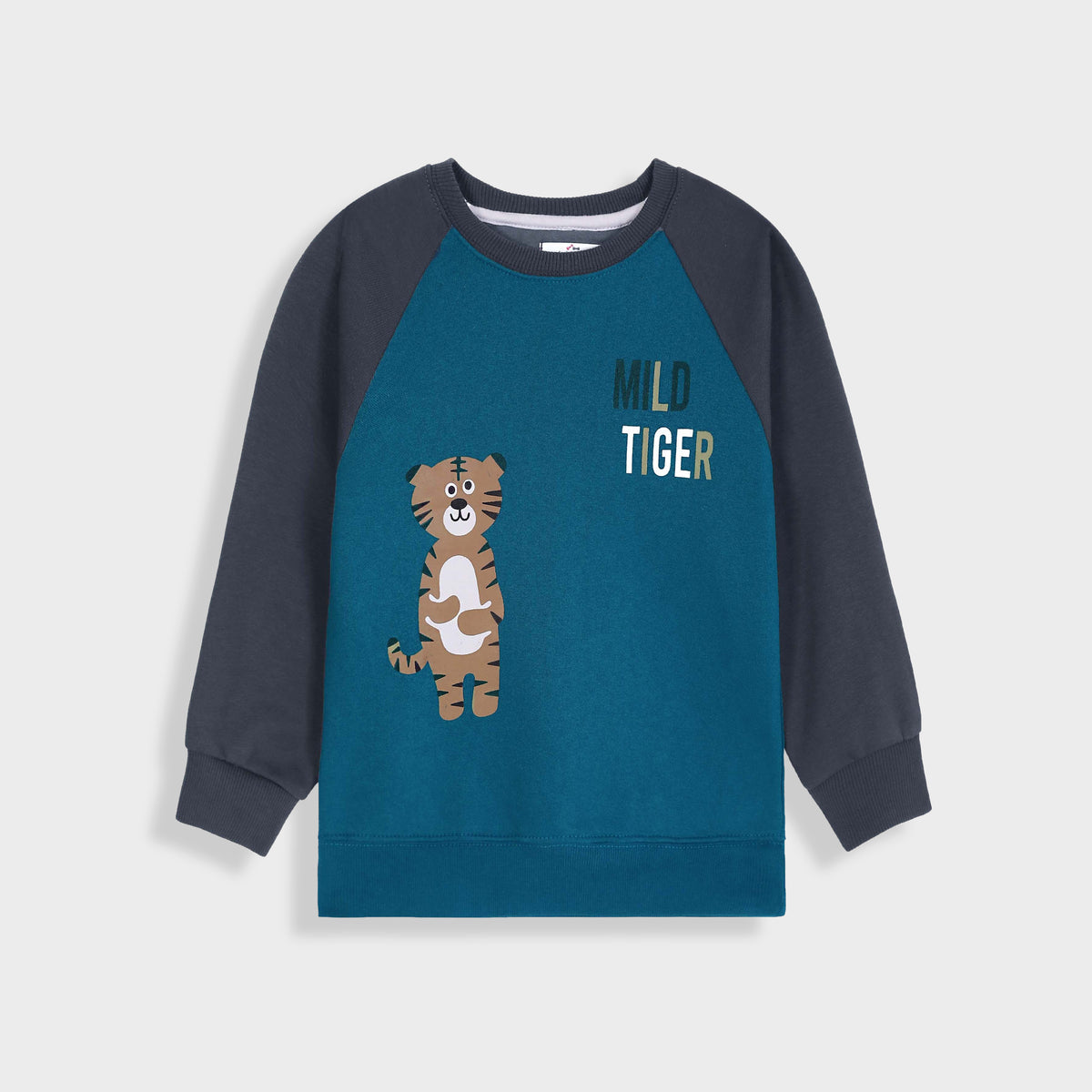 Premium Quality Printed Raglan Sleeve Fleece Sweatshirt For Kids