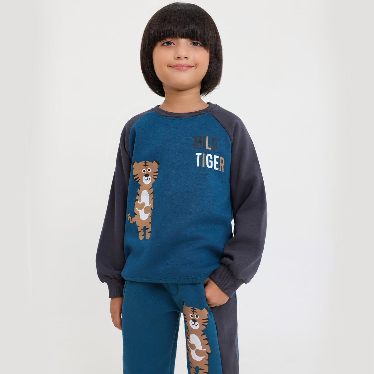 Premium Quality &quot;Tiger&quot; Printed Aqua fashion raglan Fleece Suit For Kids