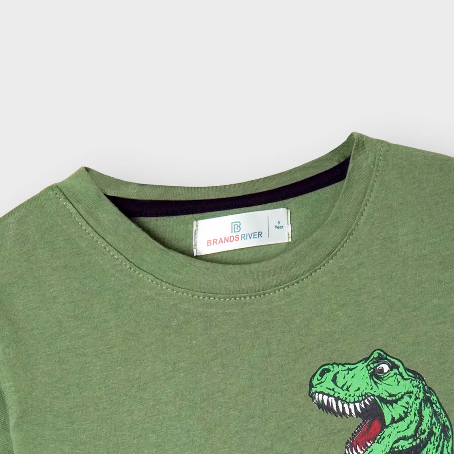 Boys Premium Quality T-Rex Printed Green Summersuit