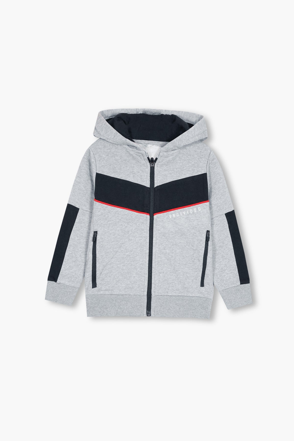 Premium Quality "Undivided" Printed  Pannel Fleece Hoodie For Kids