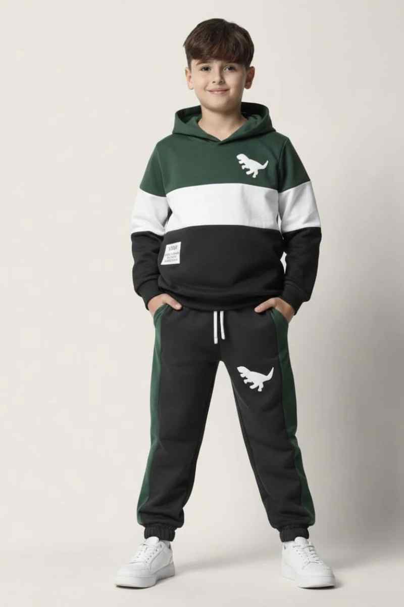 Premium Quality "DINO" Printed fleece Hoodie Suits For Kids