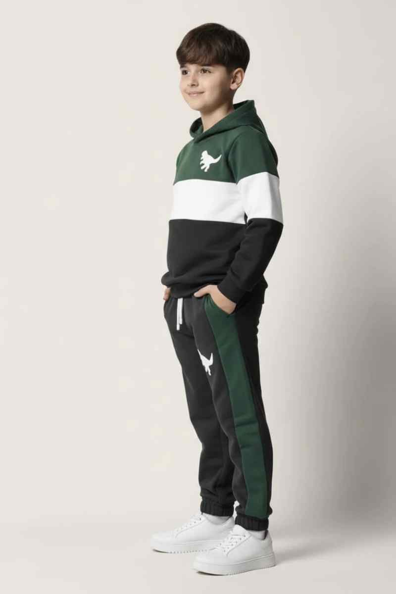 Premium Quality "DINO" Printed fleece Hoodie Suits For Kids