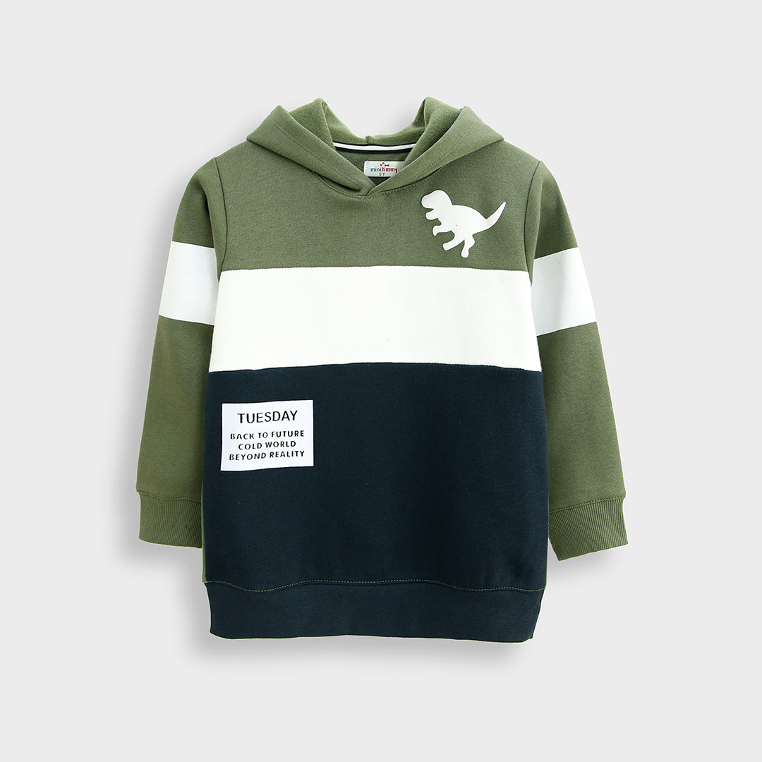 Pull-Over Dino Printed Fleece Hoodie For Kids