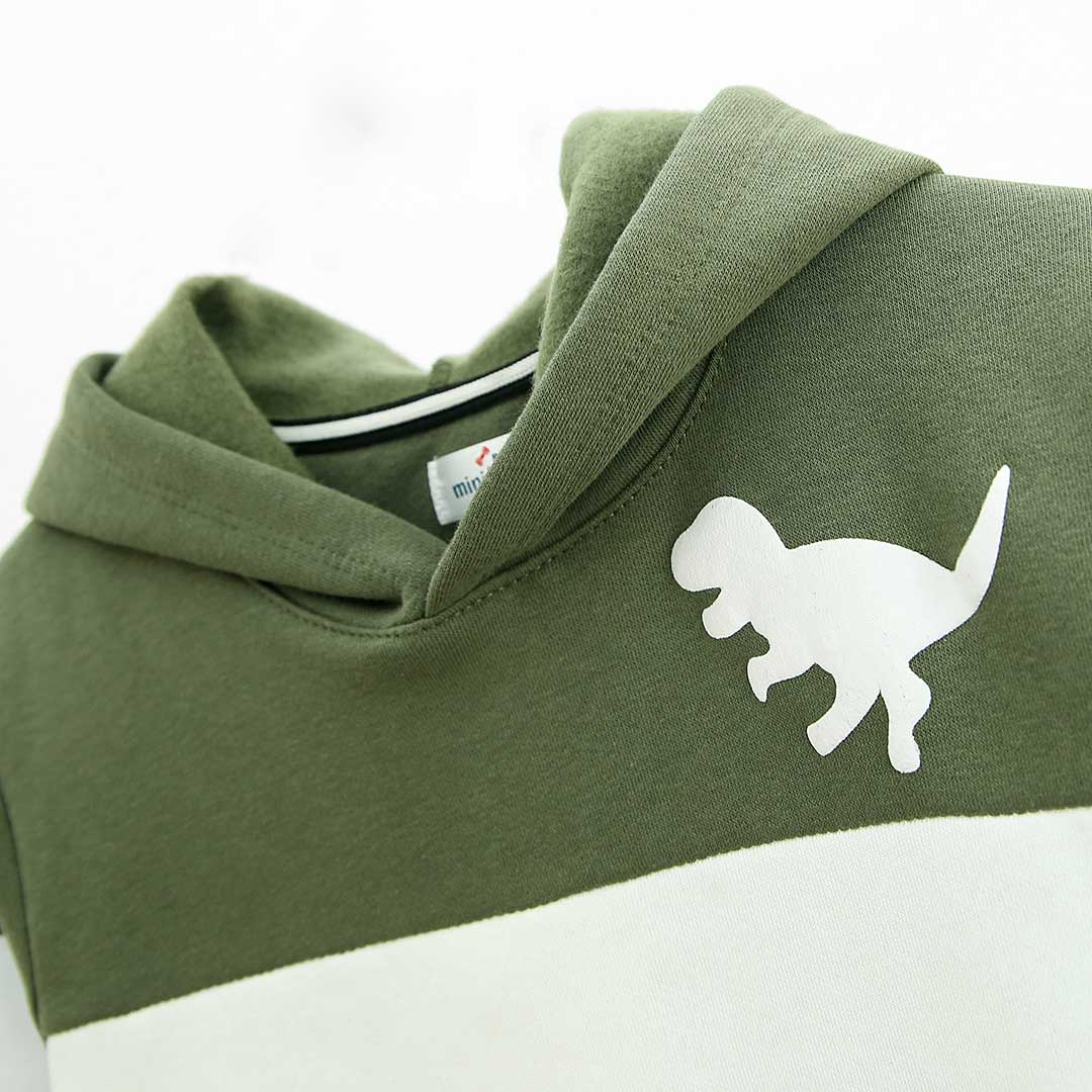 Pull-Over Dino Printed Fleece Hoodie For Kids