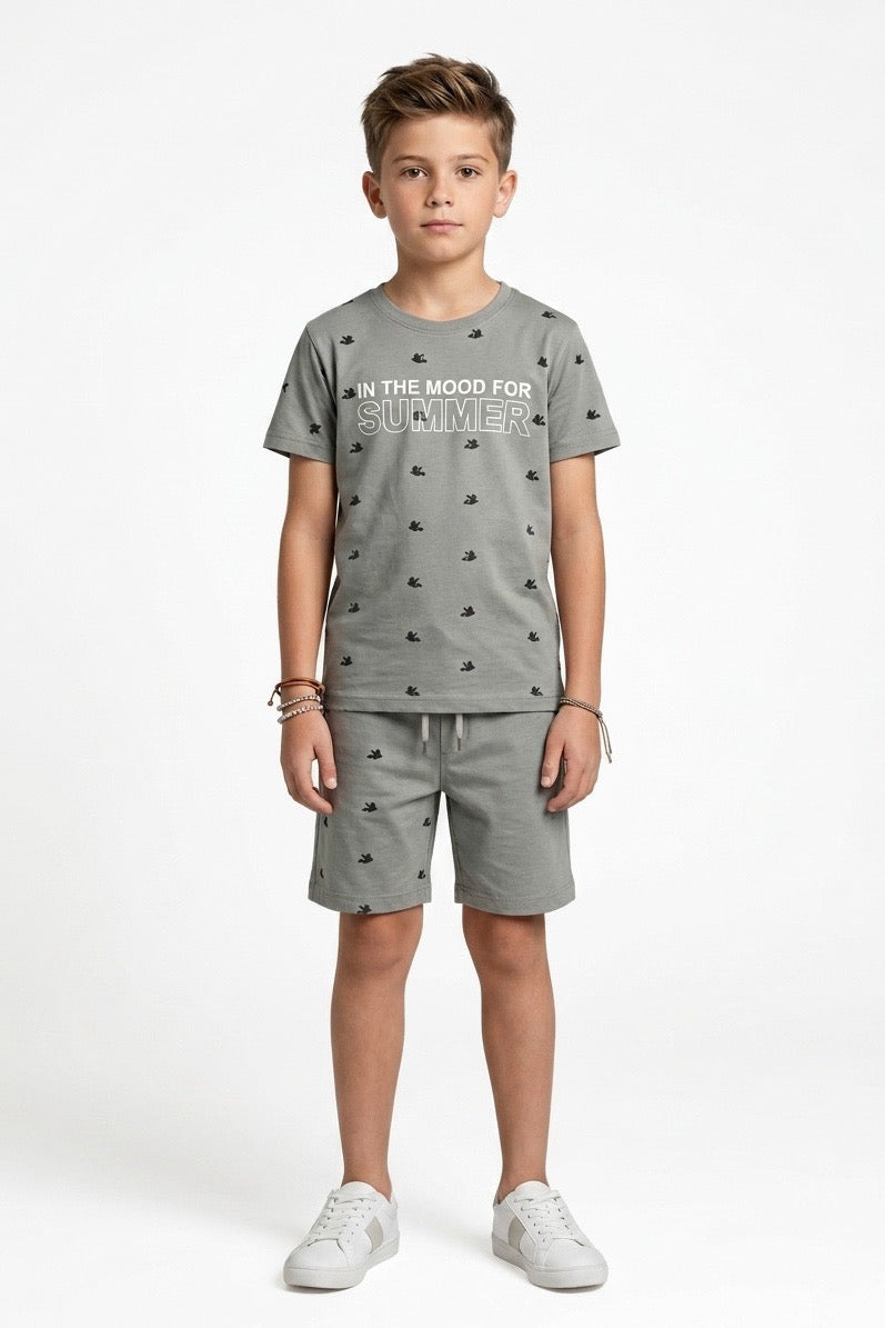 Premium Quality "Summer Vibes " Printed Summer Suit For Boys