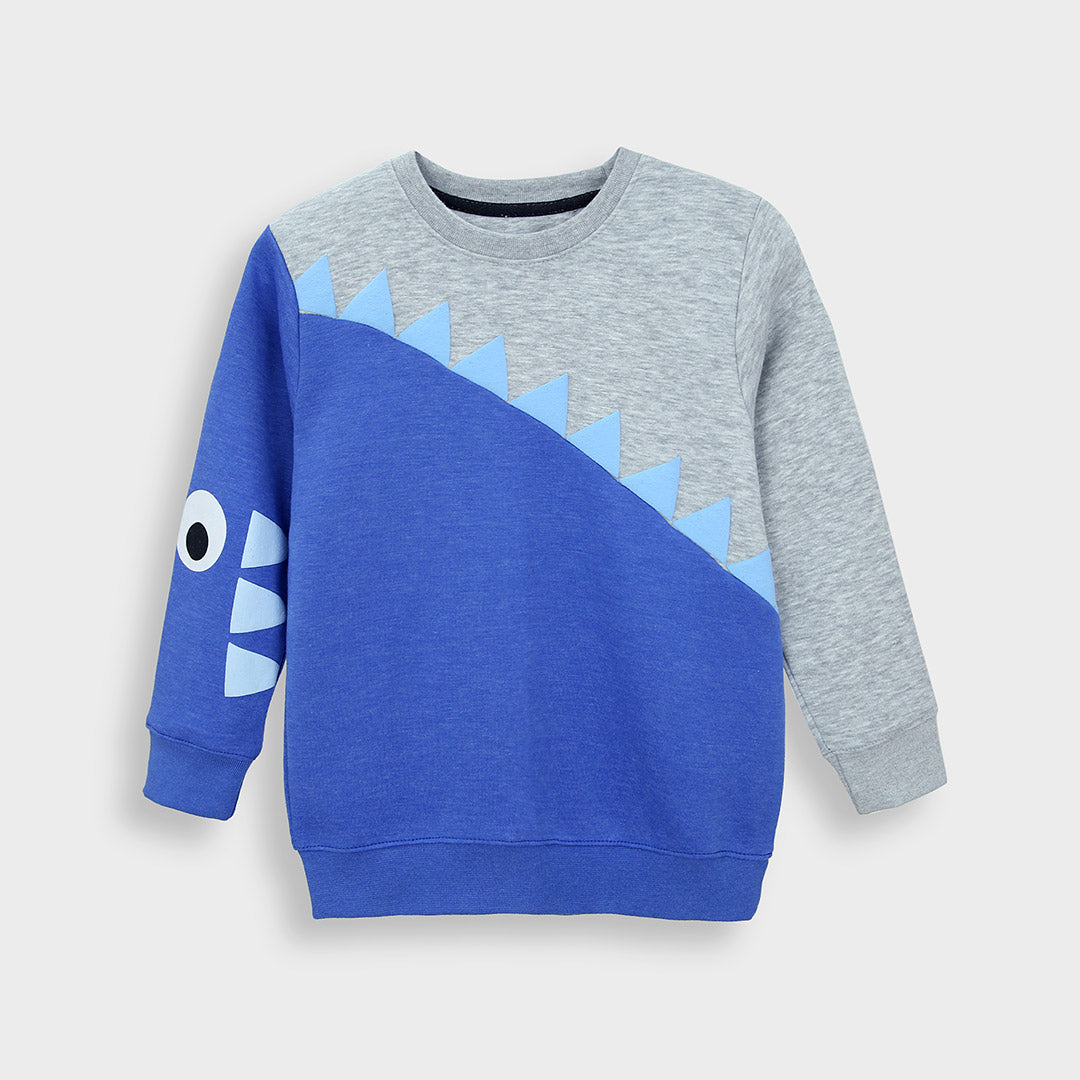 Boys Cut &amp; Sew Soft Cotton Graphic Fleece Sweatshirt