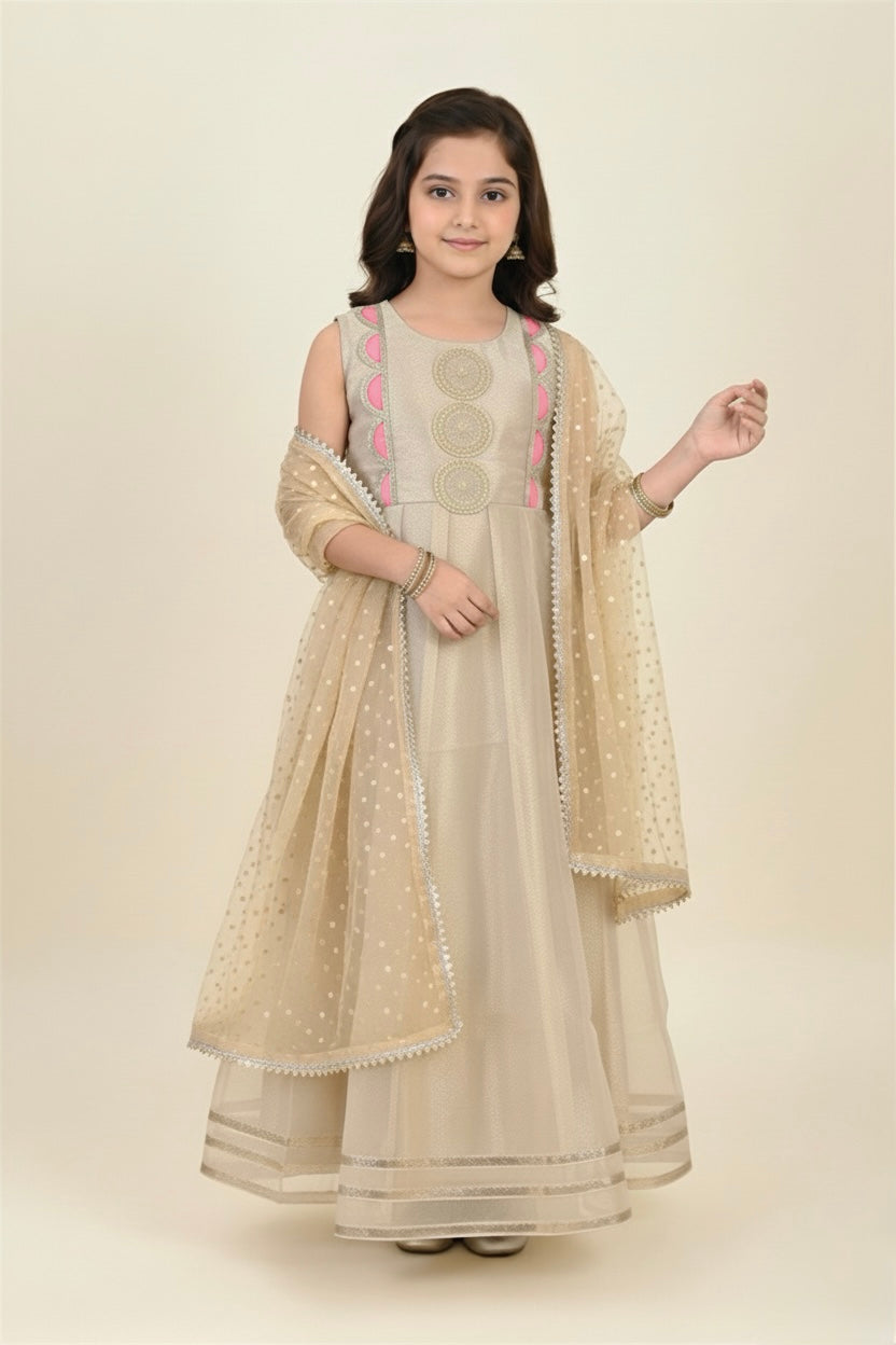 Fancy Organza Maxi With Dupatta (2 piece)