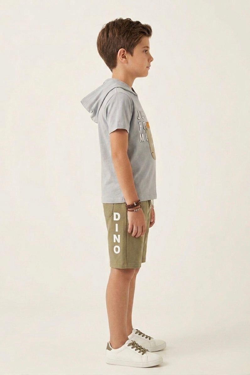 Premium Quality "Dino' Printed Summer Hoodie Suit For Boys