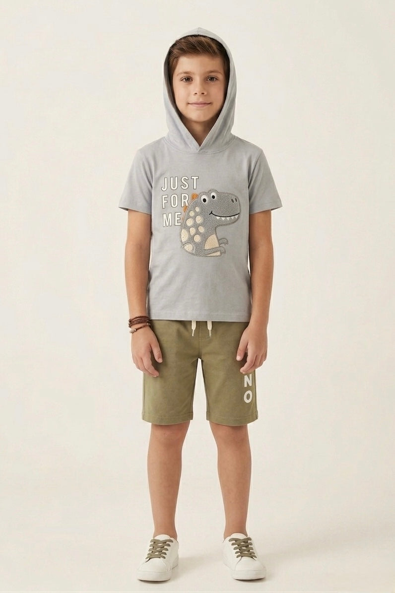 Premium Quality "Dino' Printed Summer Hoodie Suit For Boys