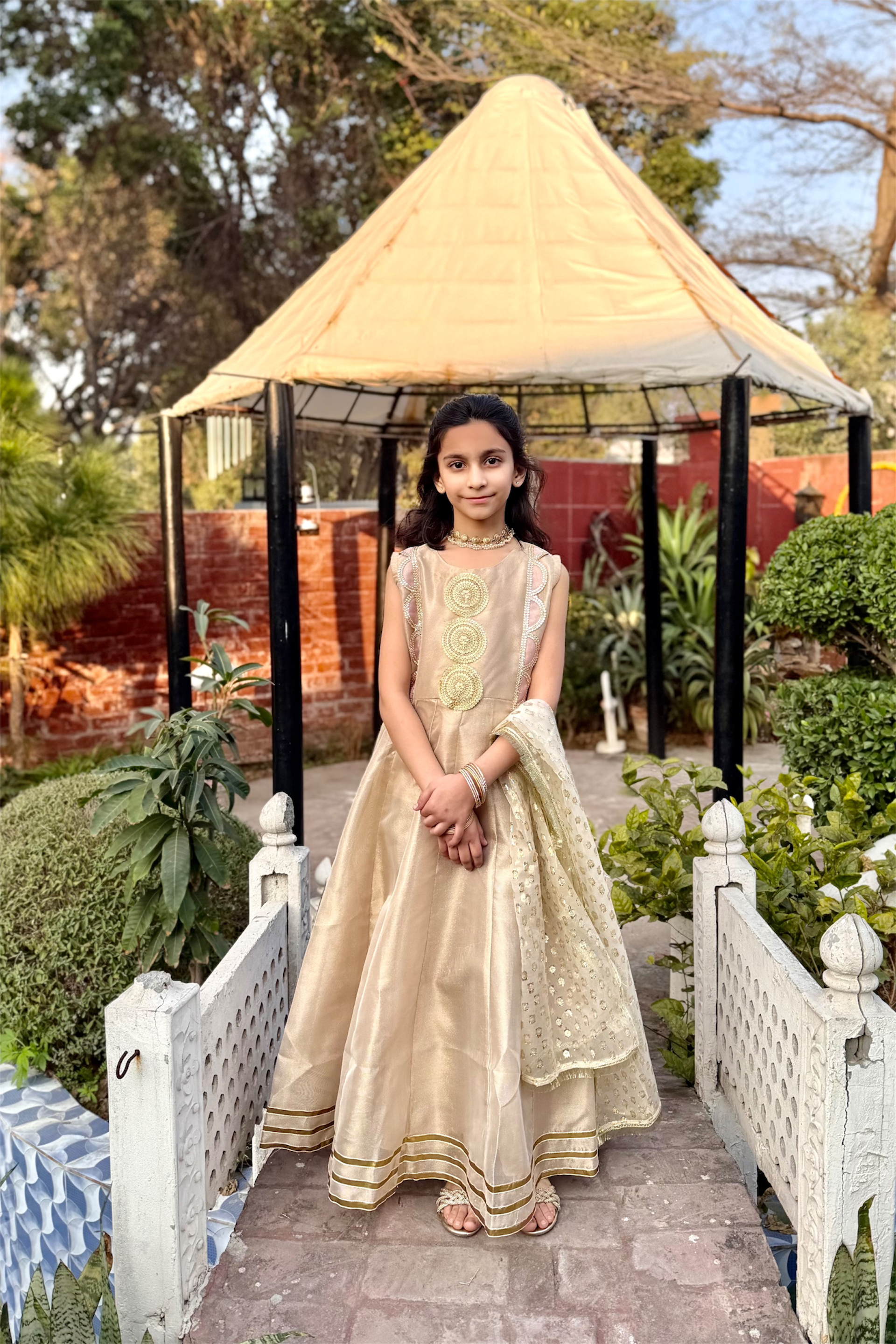 Fancy Organza Maxi With Dupatta (2 piece)