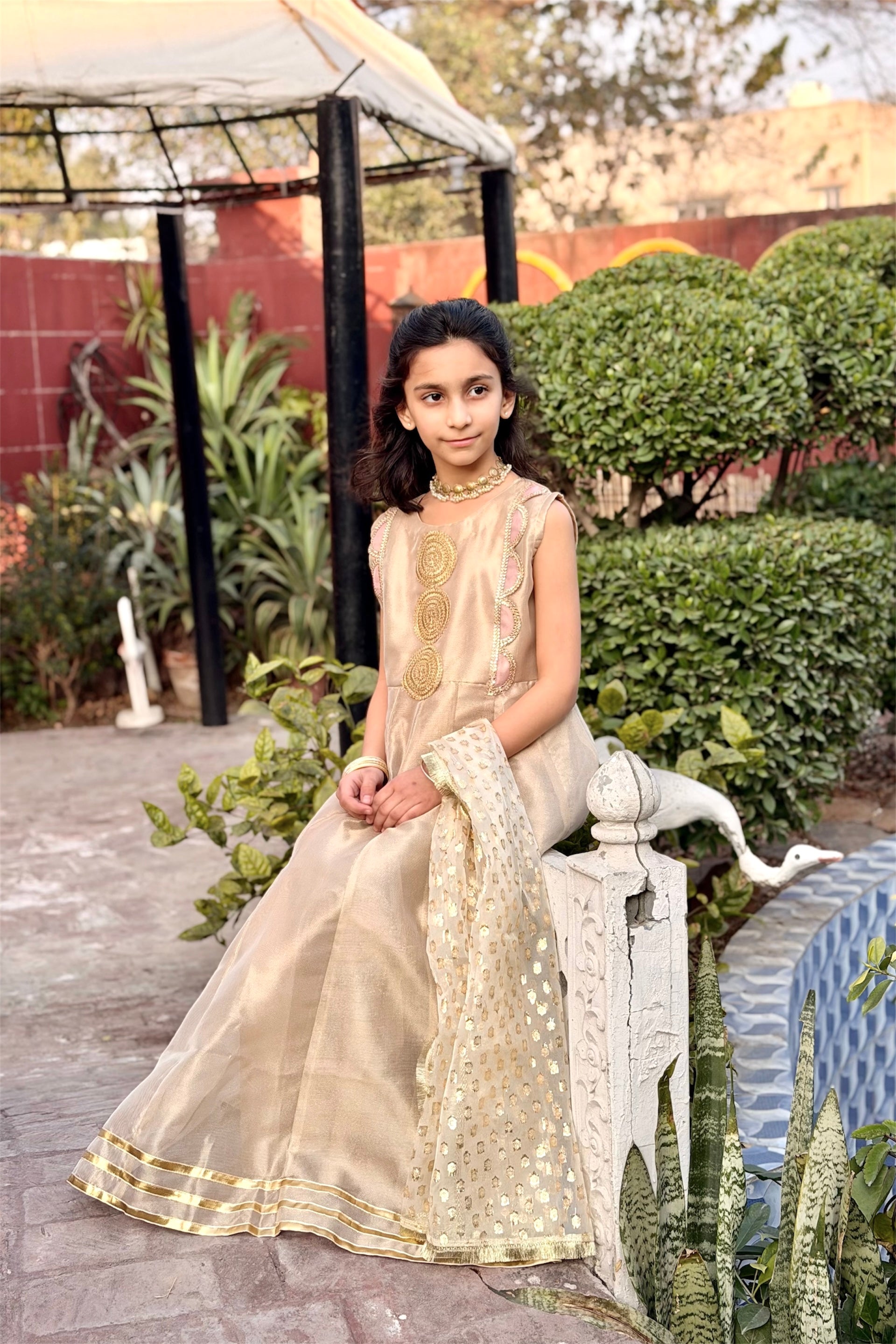 Fancy Organza Maxi With Dupatta (2 piece)