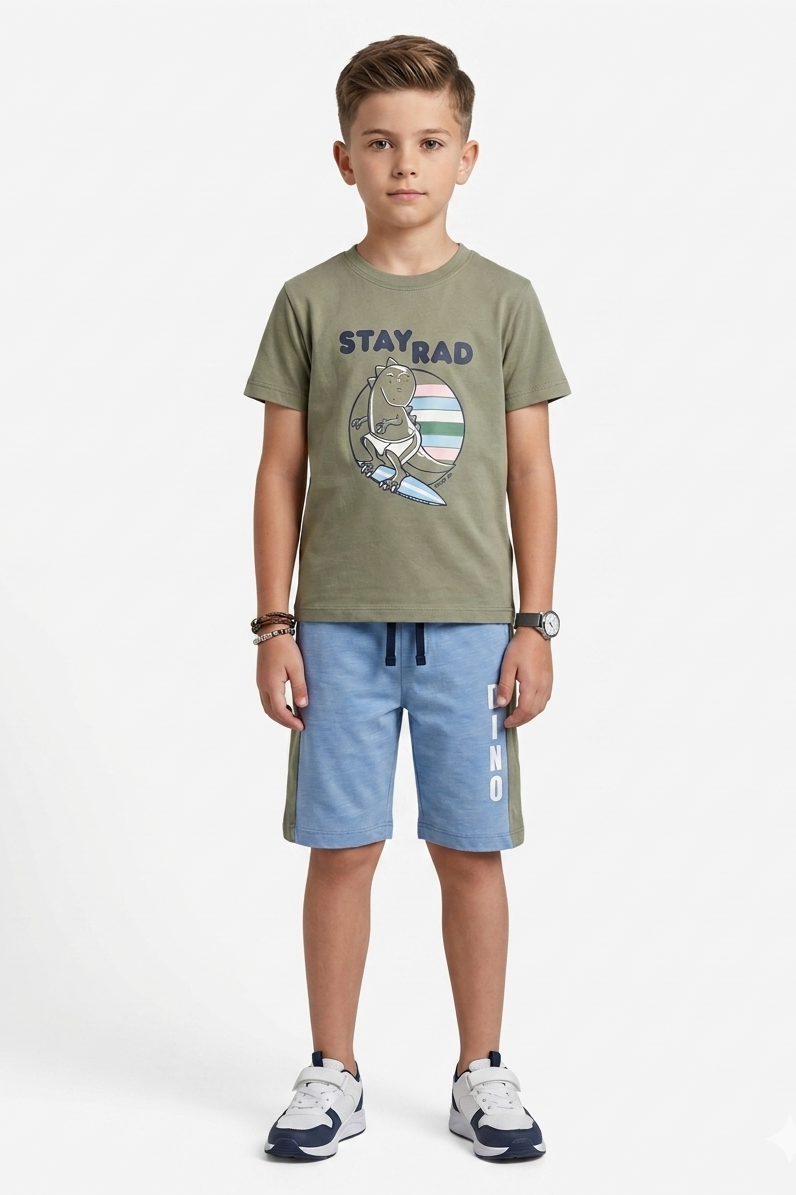 Premium Quality "Big Dino" Printed Summer Suit For Boys