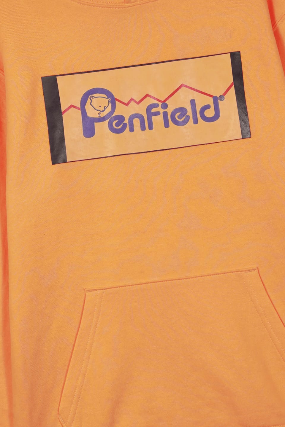 Premium Quality "Penfield" Printed Pull-Over Hoodie For Kids