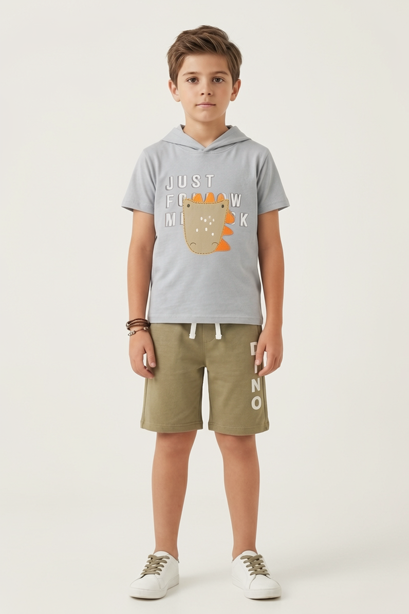 Premium Quality "Dino' Printed Summer Hoodie Suit For Boys