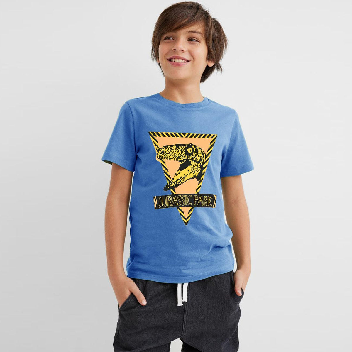 Boys Soft Cotton &quot;Jurassic Park&quot; Printed T-Shirt 9 MONTH - 10 YRS - Brands River