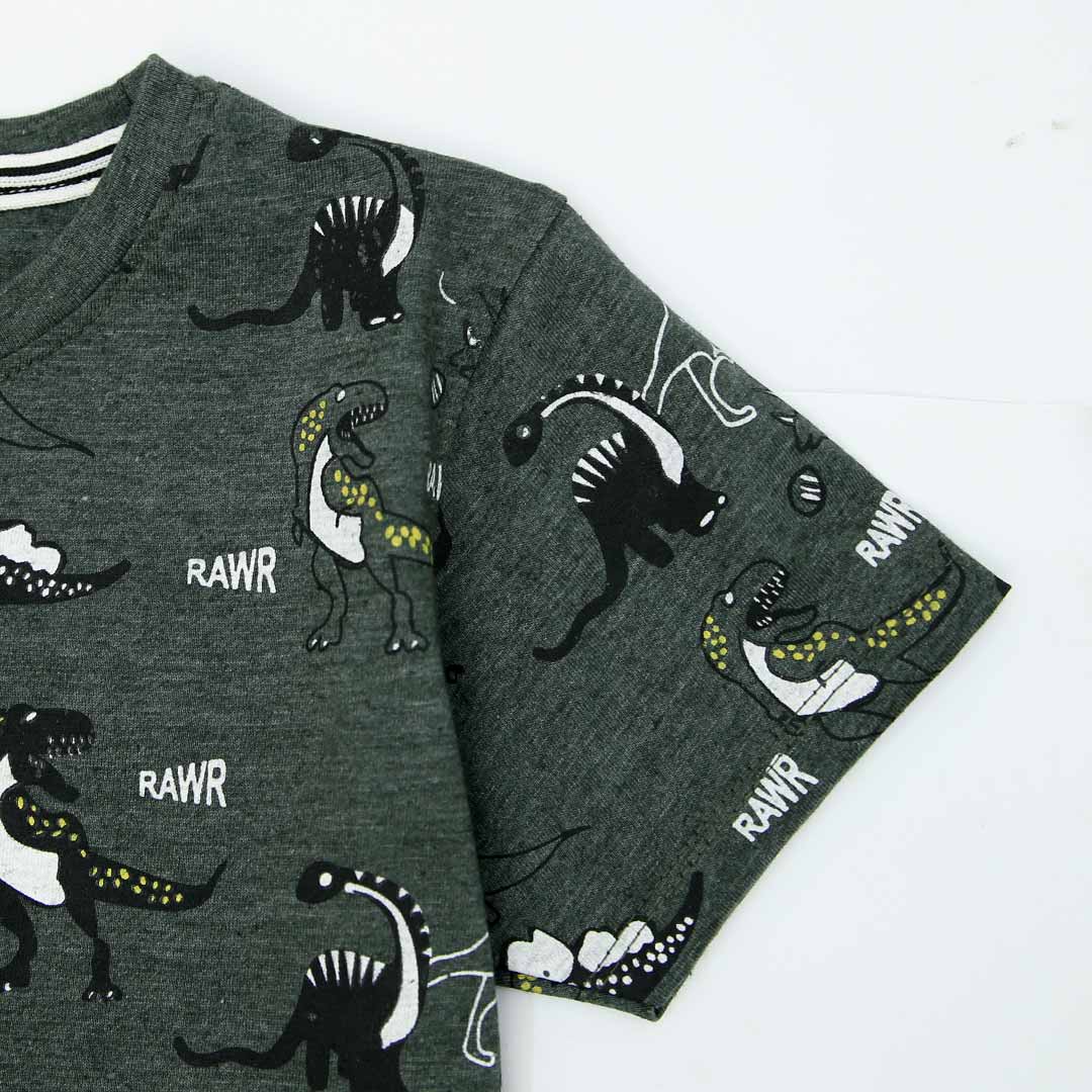 Boys All-Over &quot;Dino&quot; Printed Soft Cotton T-Shirt